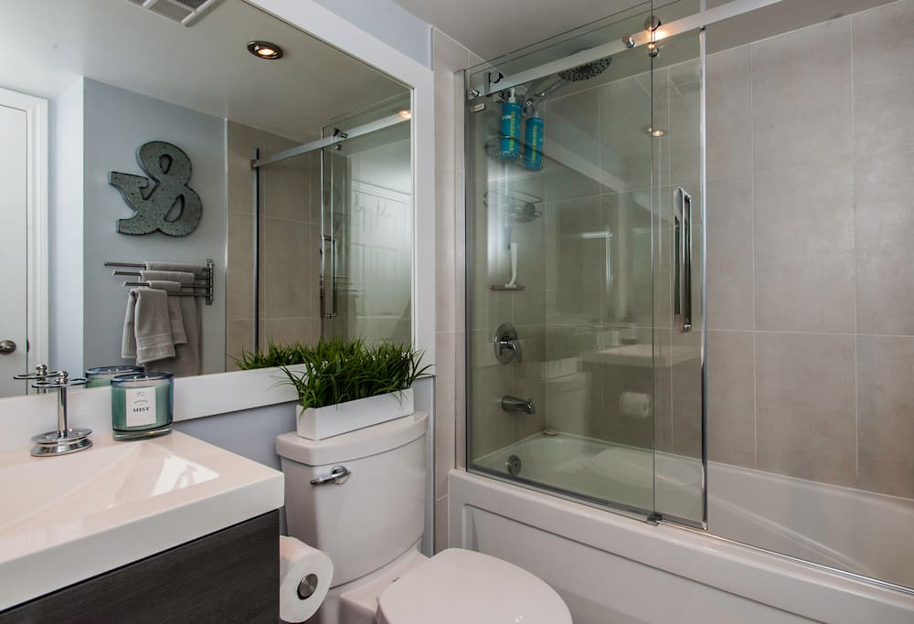 New designer bathroom…glass and steel tub/shower roller door.