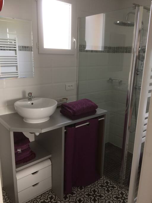 douche a l'italienne