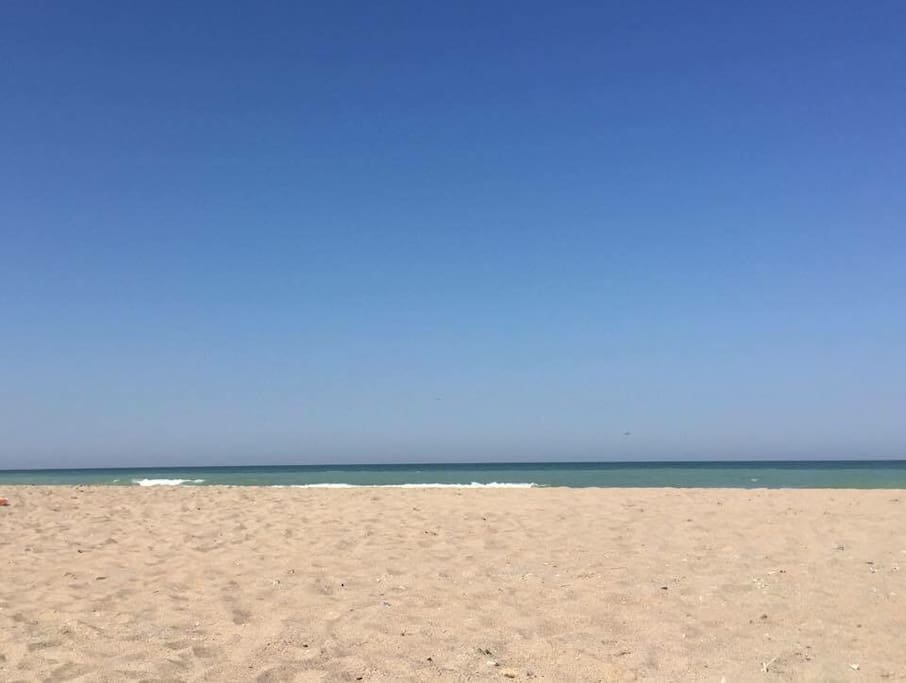 The beach