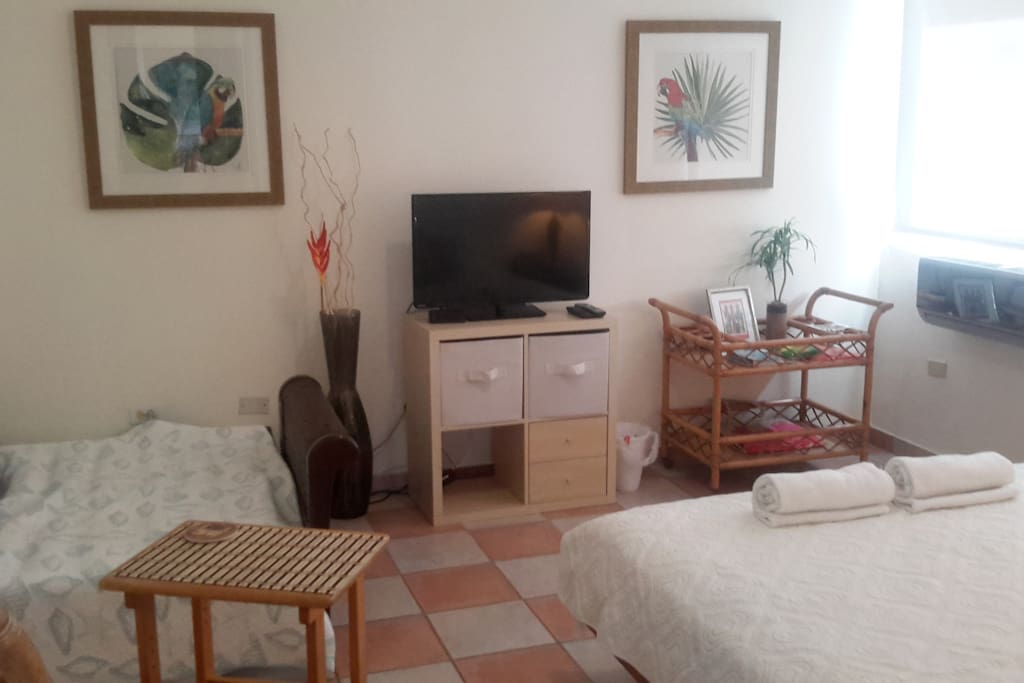 32 inch tv, queen size bed, ac