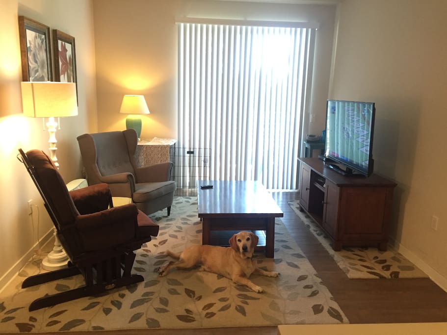 Living room w/ doggy #2