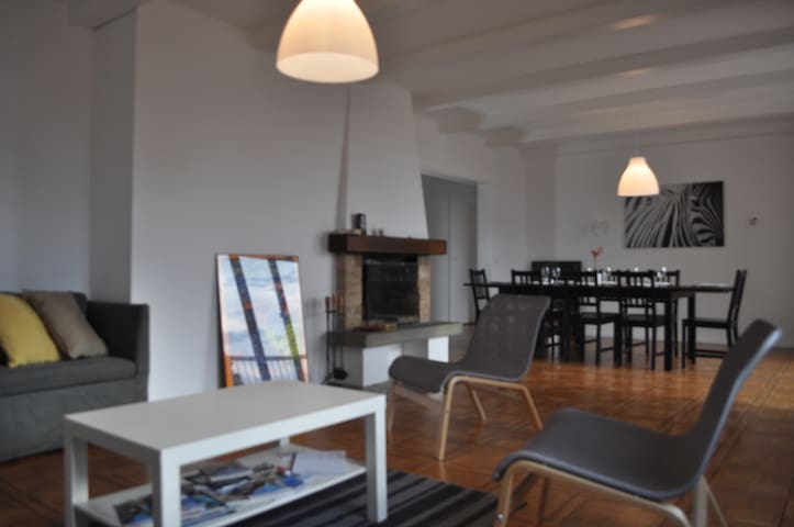 Splendid 4.5 room with terace, cheminee and view