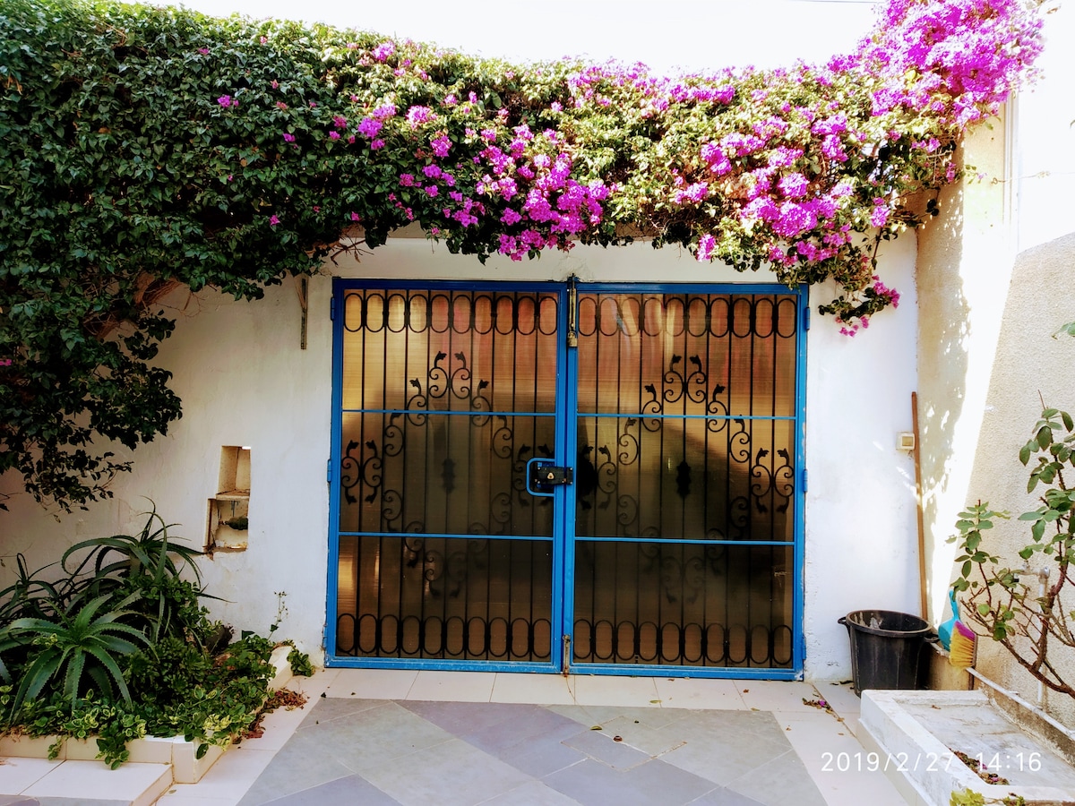 A wrought iron gate is framed by vibrant purple bougainvillea, creating a lush natural border. The gate features intricate designs and is set against a white wall, with greenery visible at the base and a potted plant to the right.