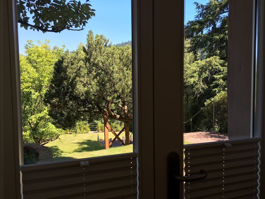 Blick nach draußen