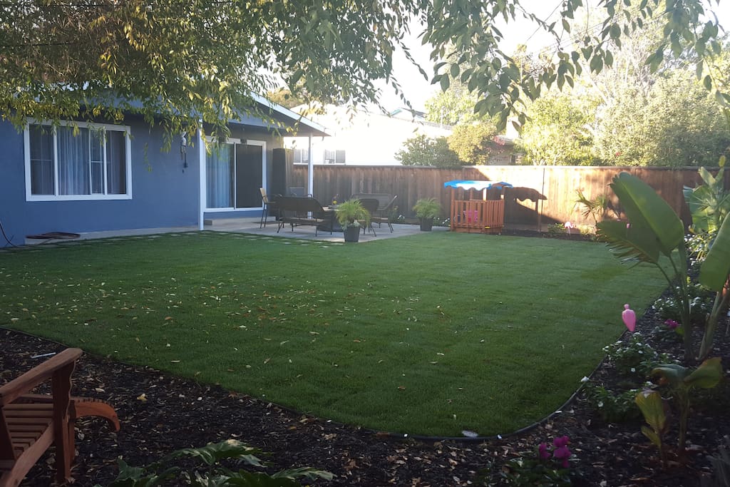 Beautiful landscaped backyard