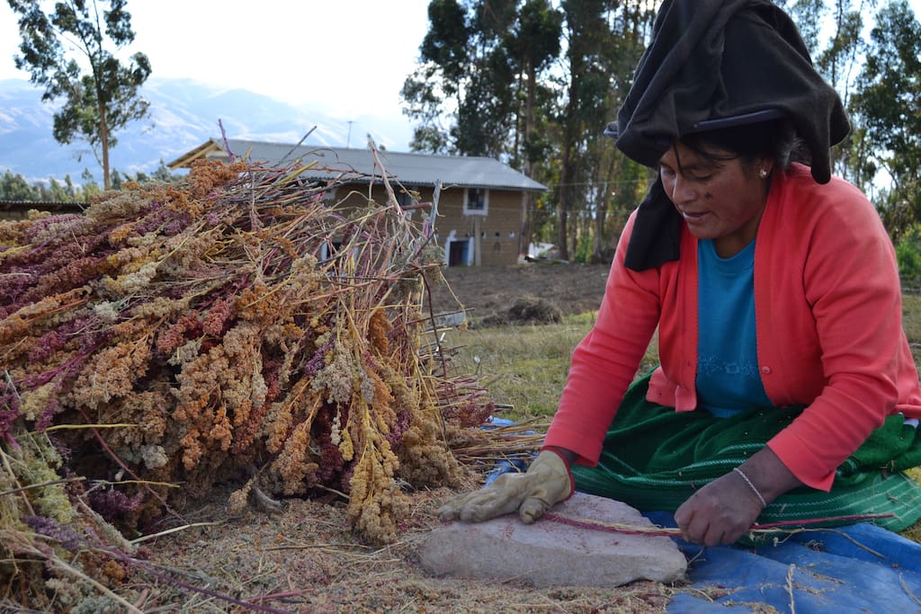 Learn our traditional Quechua practices