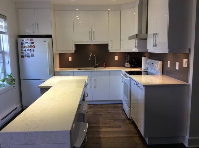 4 BRM in Villeray with backyard (CITQ #309813) gallery image 3