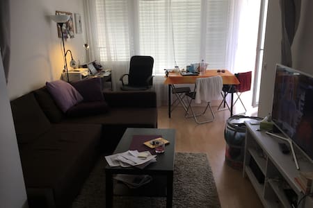 Cosy furnished studio in Zurich Altstetten