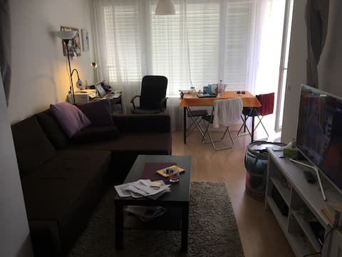Successful Airbnb property: Cosy furnished studio in Zurich Altstetten in Altstetten