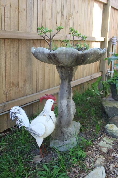 Lots of plants and quirky things on the discovery path
