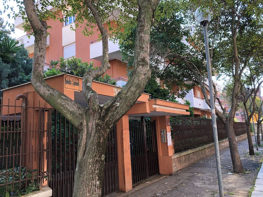 ingresso strada