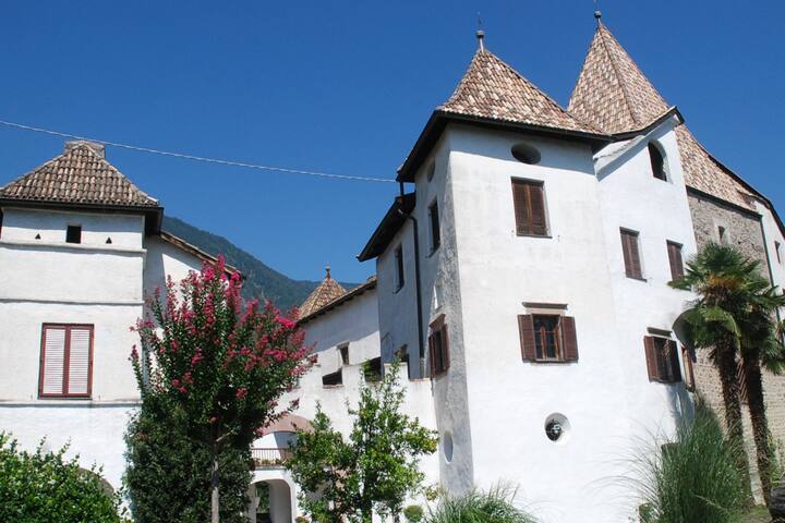 Holiday in the castle, new: with pool