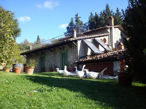 Podere Asche