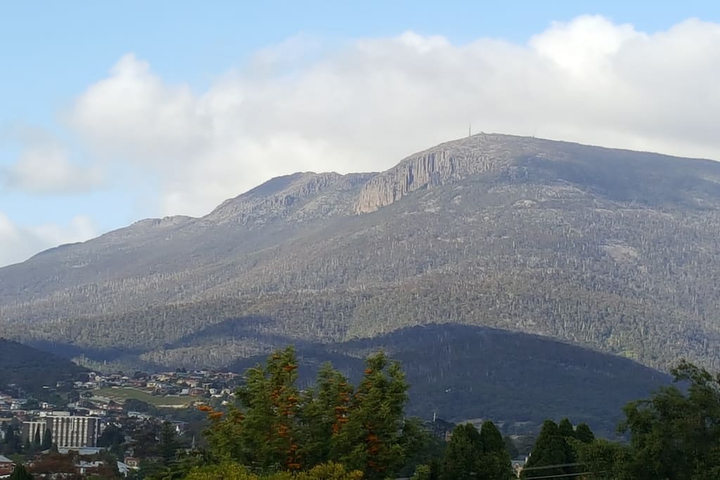 Majestic view from Blu-Sea Chestnut's deck!
