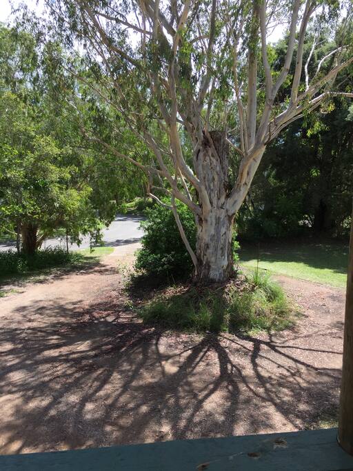 View from front deck