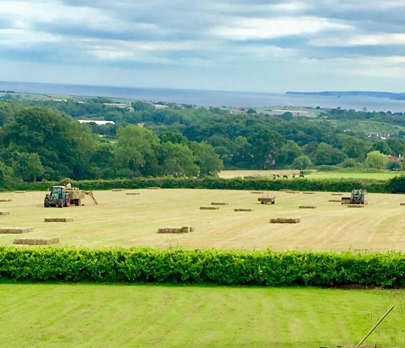 This is the view from our Garden and from Sea All Ways Room a wonderful seascape