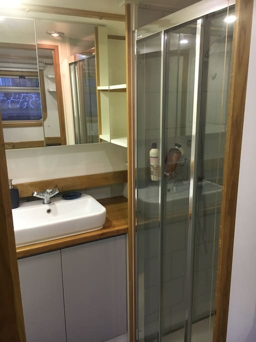 Modern bathroom with shower