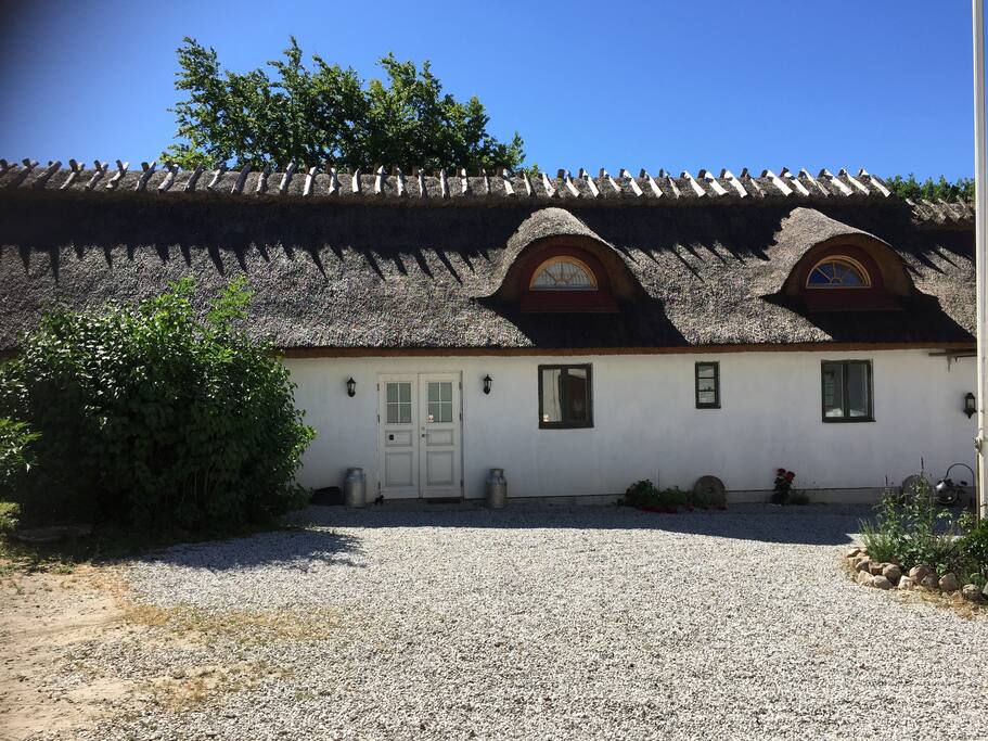 Frontview