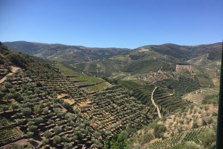 Quinta do Monte Bravo - DOURO - Casal T3