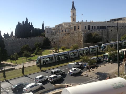 A Beautiful ap. facing the old city