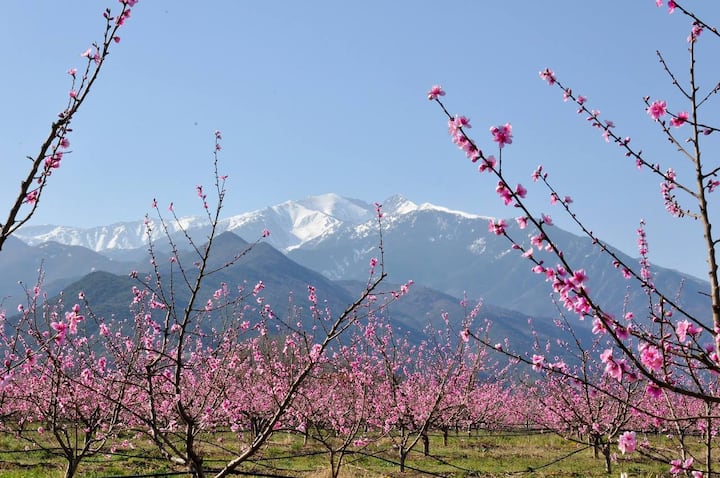 Escapade Ensoleillée Au Pied Du Canigou Lit Double - Vernet-les-Bains