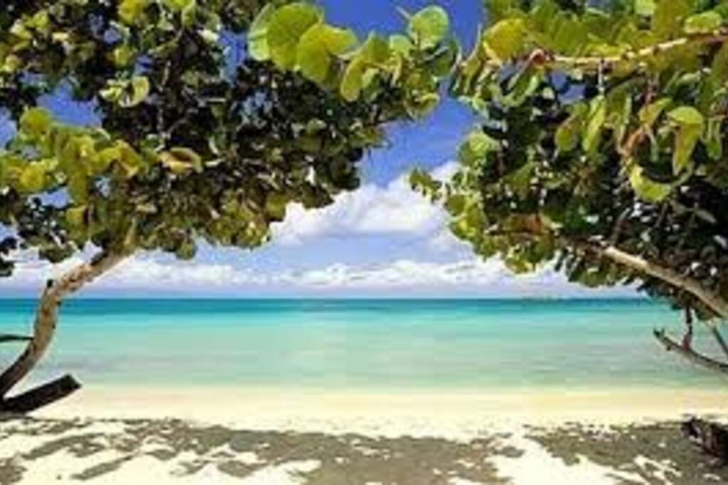 après le retour à pied de la plage de bois jolan située à 1km
