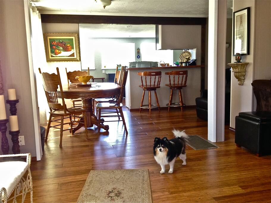 Open floor plan is perfect for gathering with family and friends