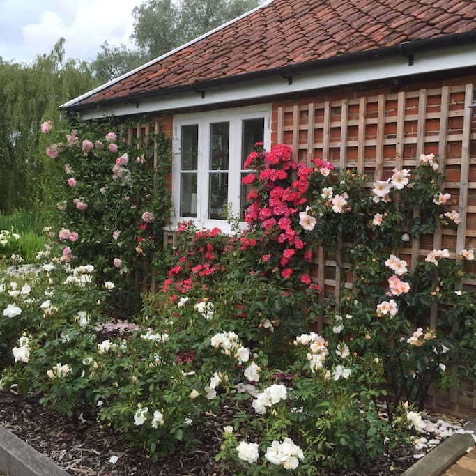 the rose garden planted immediately at the side of your front door giving a wonderful aroma throughout the year