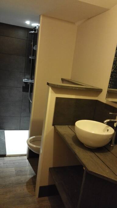 salle de douche avec wc