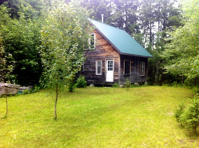 Green Wych Pine Cabin (offsite)
