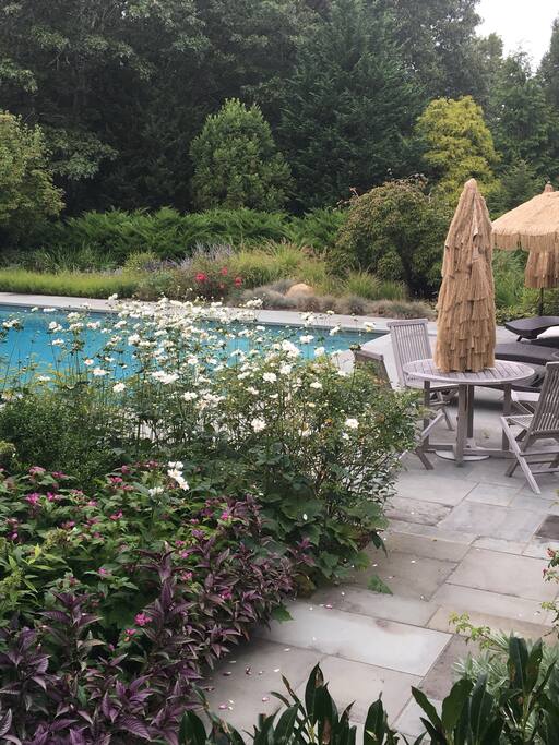 Pool Gardens
