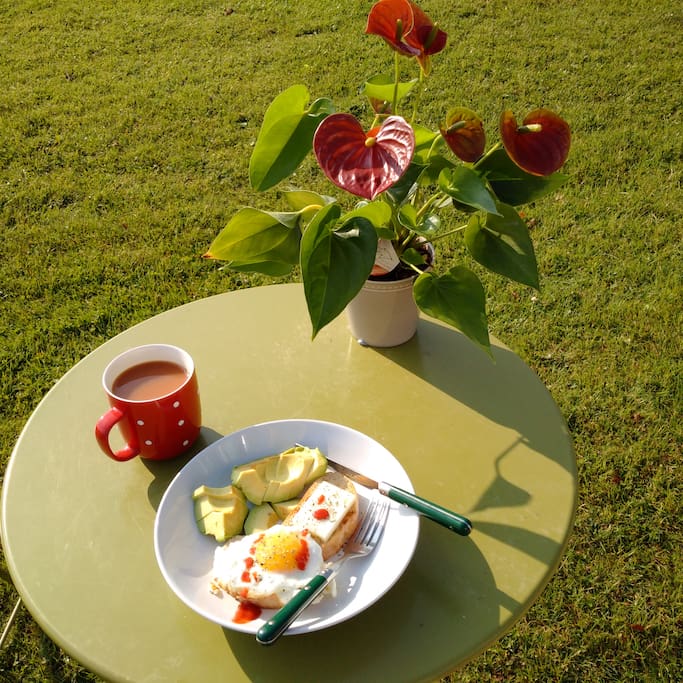 Tasty Breakfast in the sunshine!