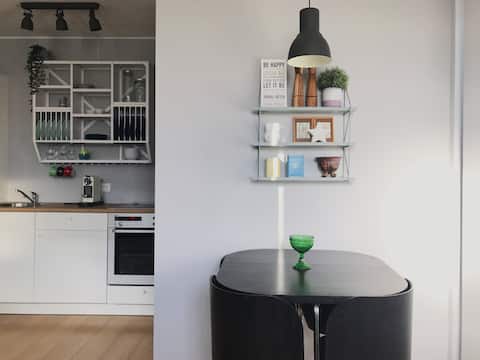 Cosy apartment close to downtown Reykjavik