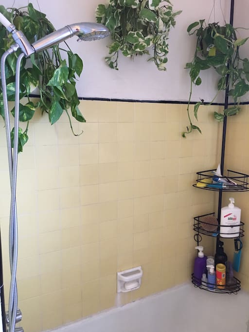 Shower & tub