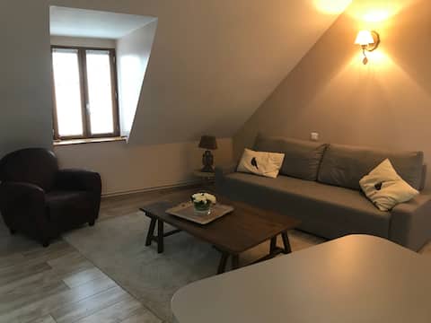 Beautiful apartment at the gates of the Côte des Vins.