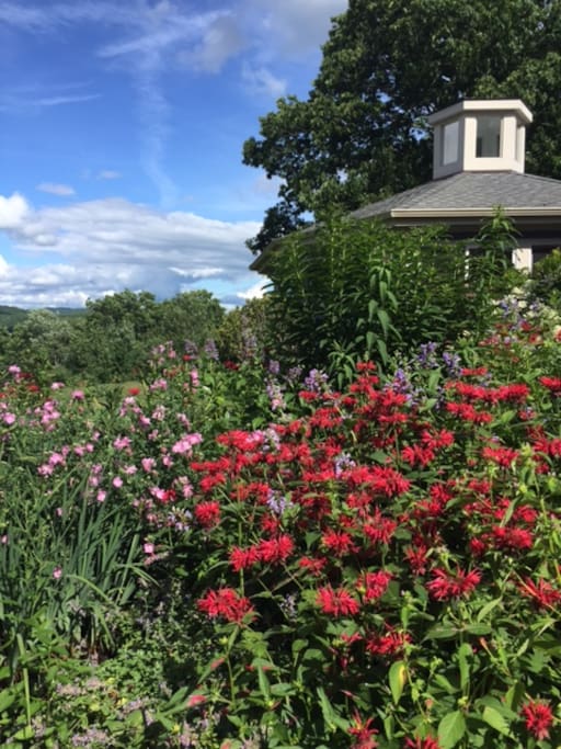 our gardens in bloom