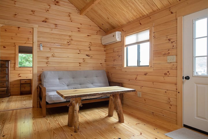 Seneca Lake Creekside Cabin A0 - Seneca Lake
