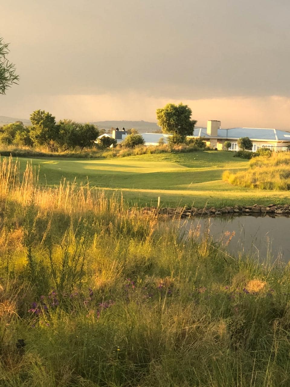 A lush green landscape extends towards a tranquil pond, surrounded by tall grasses and wildflowers. In the distance, a clubhouse is partially visible, under a sunlit sky. The calm water reflects the natural setting, enhancing the serene atmosphere of the golf course.