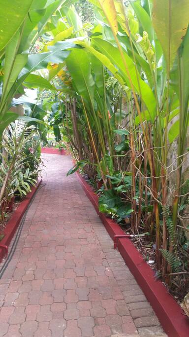 our relaxing garden