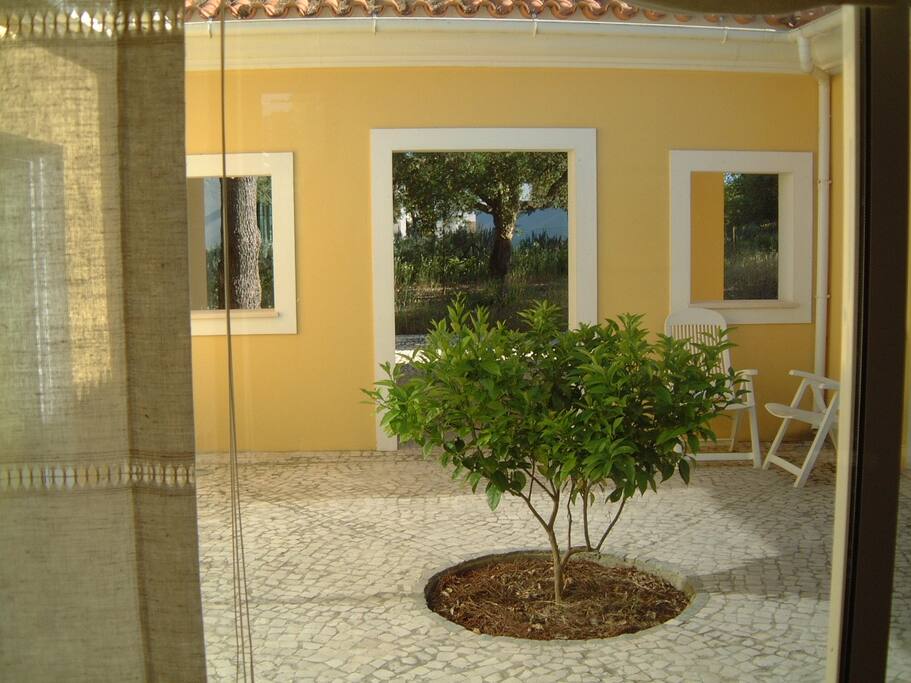 Internal-Central Patio