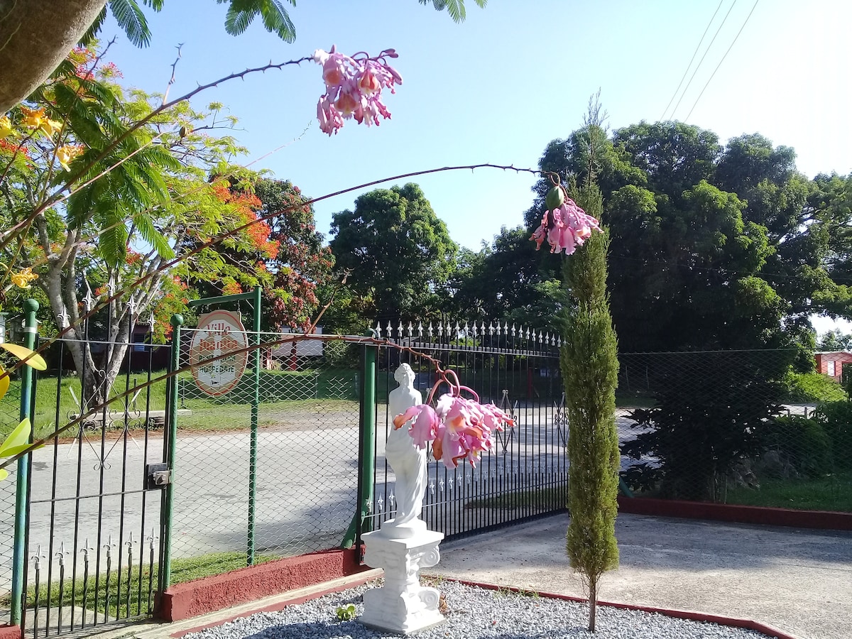 A stately entrance to the property features a decorative white statue surrounded by a small gravel area. Colorful flowering branches arch gracefully overhead, complemented by a slender green tree. A secure fence and a glimpse of the surrounding greenery provide a welcoming outdoor space.