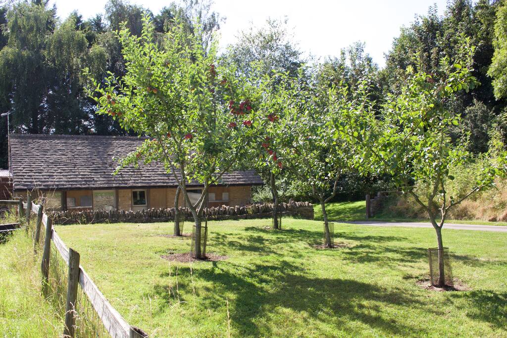 The Stables tucked in amongst the trees.