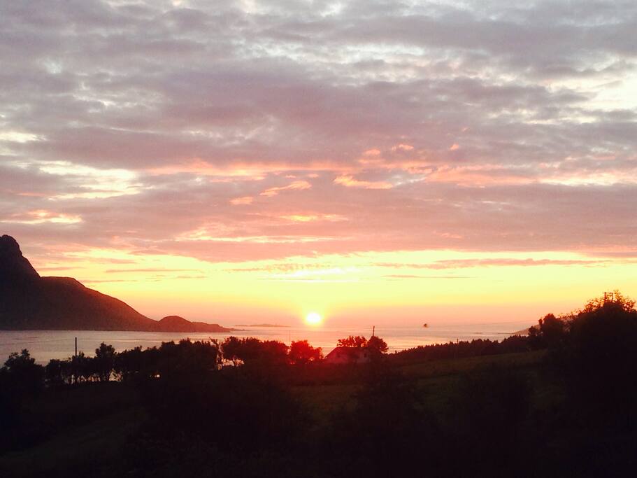 Midnattsol