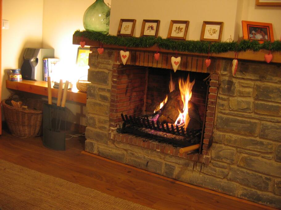Chimenea en salón