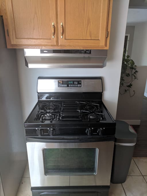 Gas oven and stove