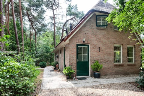 Rustic Holiday Home in Beerze Overijssel with Lush Garden