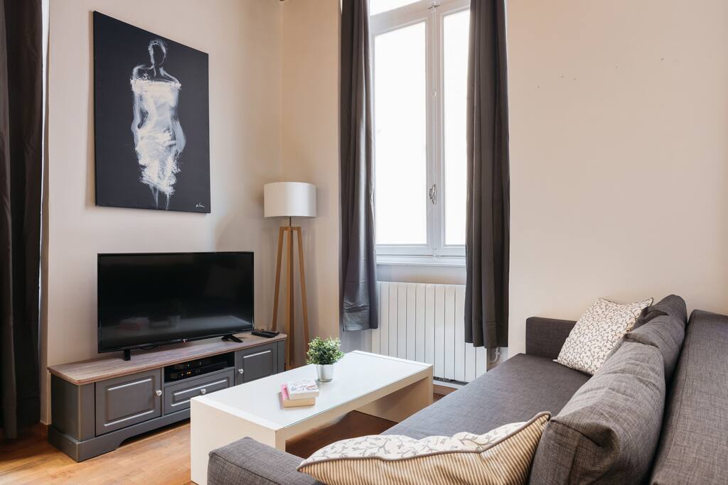 Comfy sofa and a flat screen TV