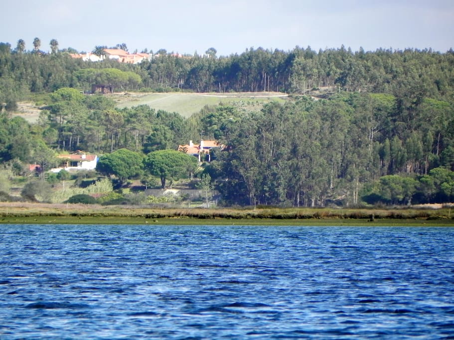 Prime location (house at left side)