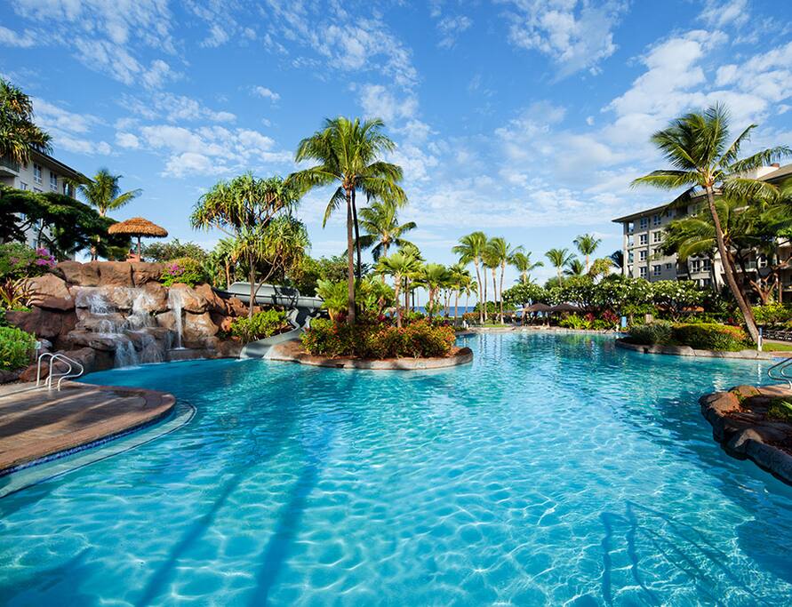 Maui - Kaanapali Oceanfront 1 Bdrm - Villas for Rent in ... Maui - Kaanapali Oce