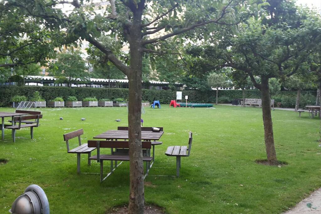 The courtyard.